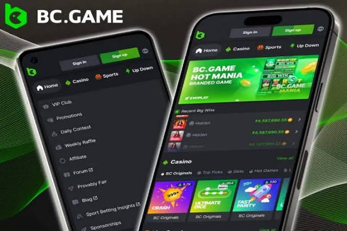 Step-by-Step Guide to the BC.Game Registration Process 865903880 Step-by-Step Guide to the BC.Game Registration Process 865903880